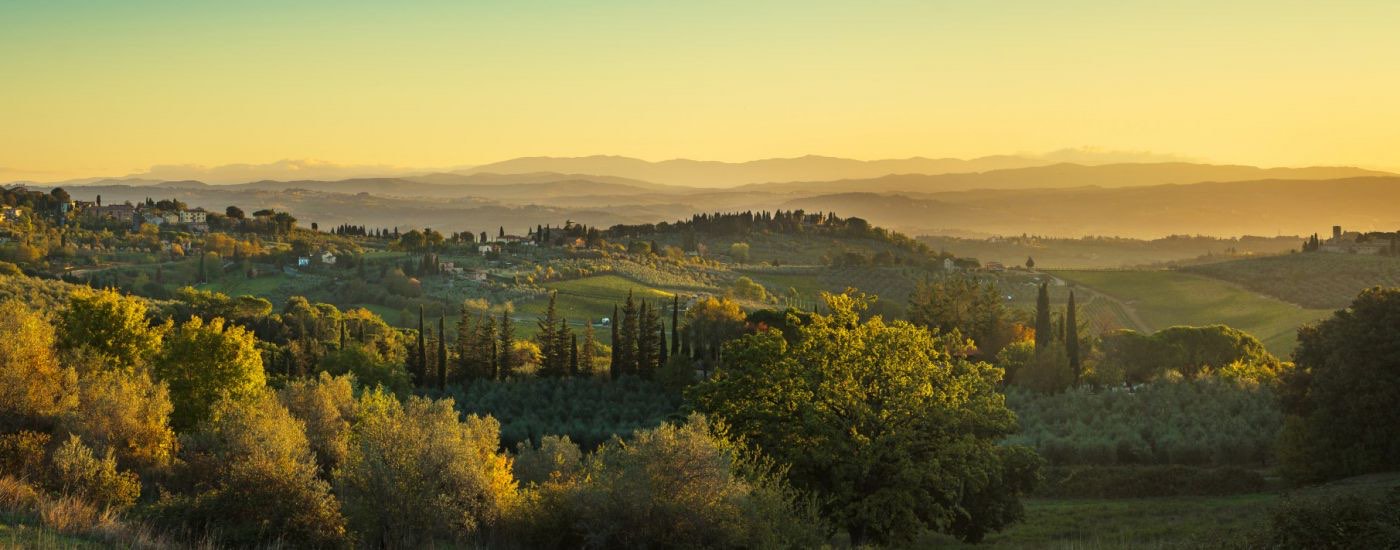 Colline e uliveti della campagna senese al tramonto, vicino a Radicondoli