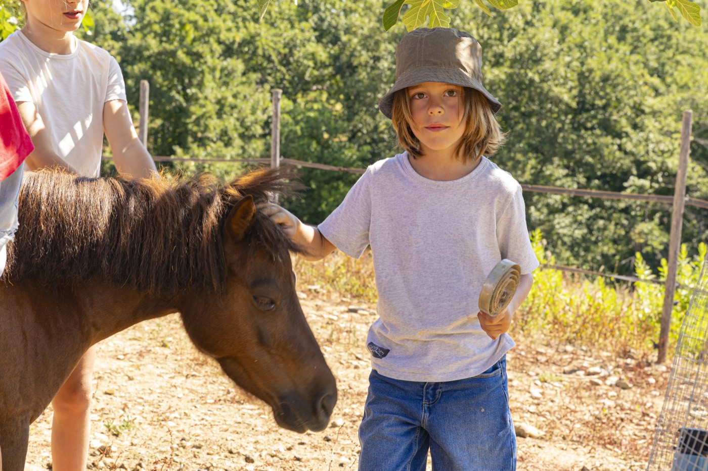 Un bambino accarezza un pony nel recinto, in una giornata di sole