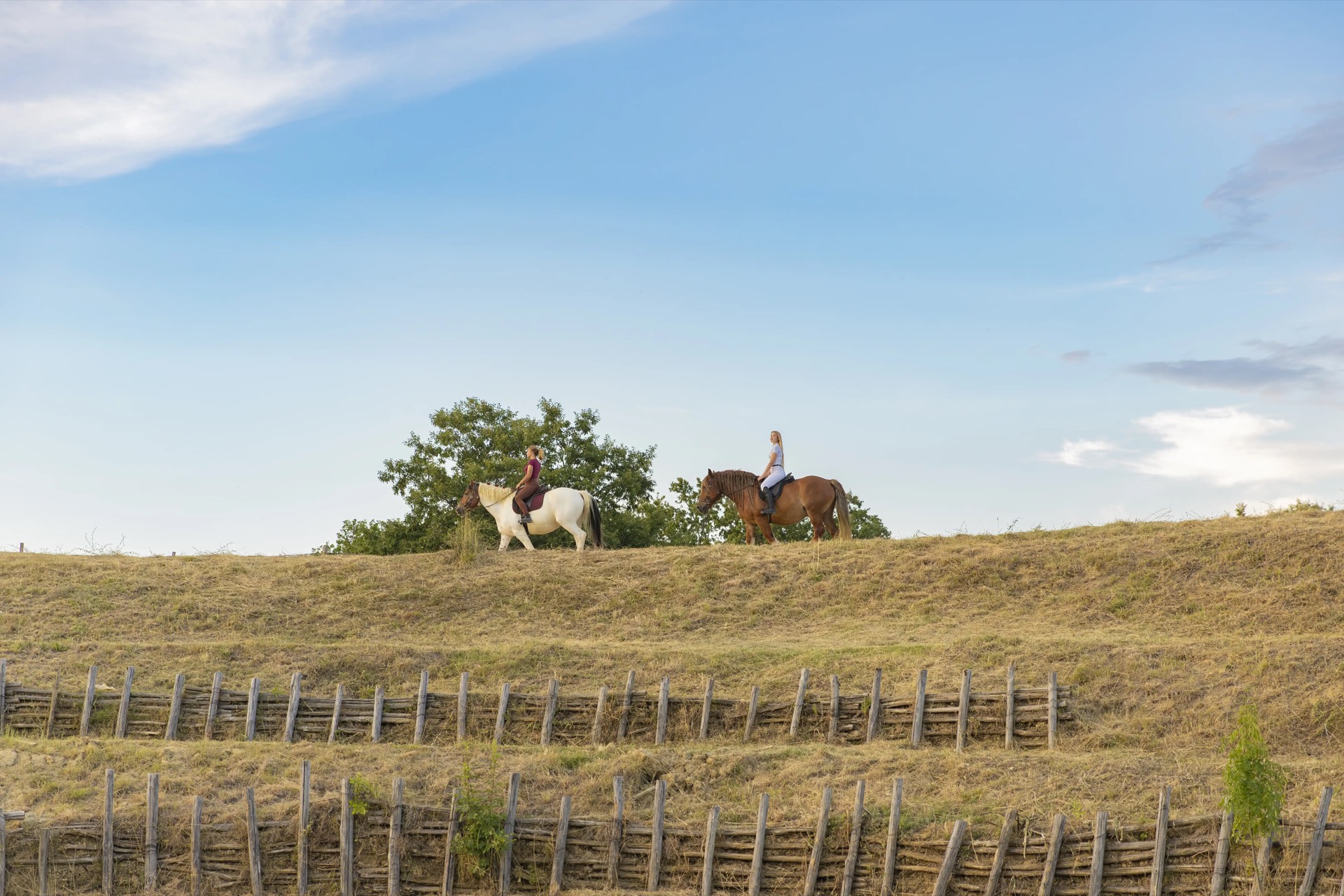 Due cavalieri in cresta di collina contro il cielo toscano
