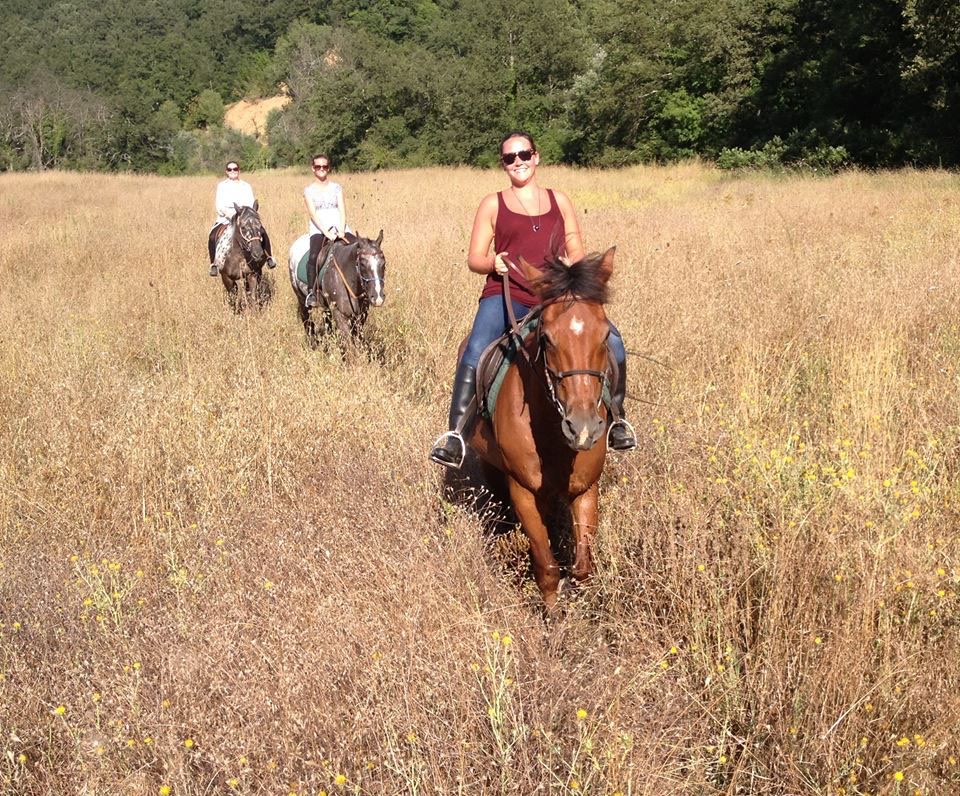 Cavalieri attraversano un campo erboso al sole