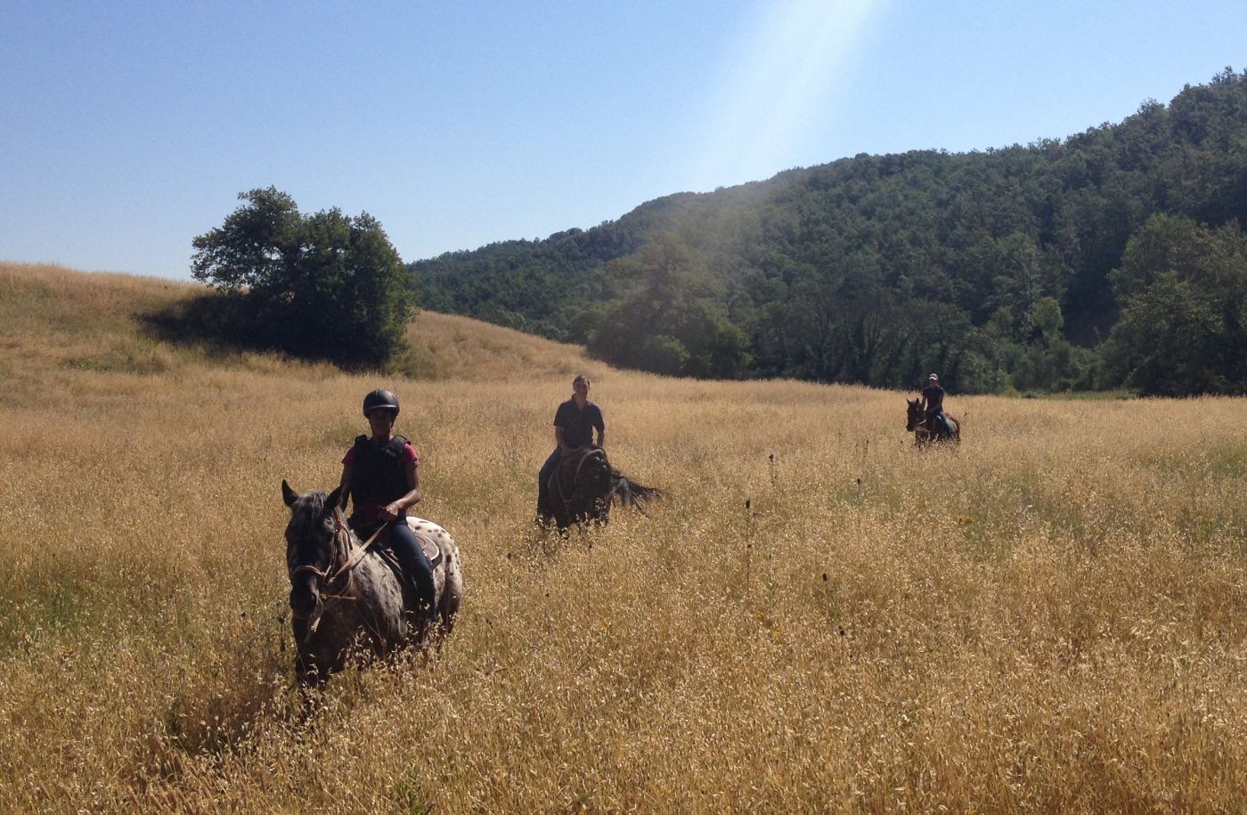 Cavalieri attraversano un campo dorato nella campagna senese