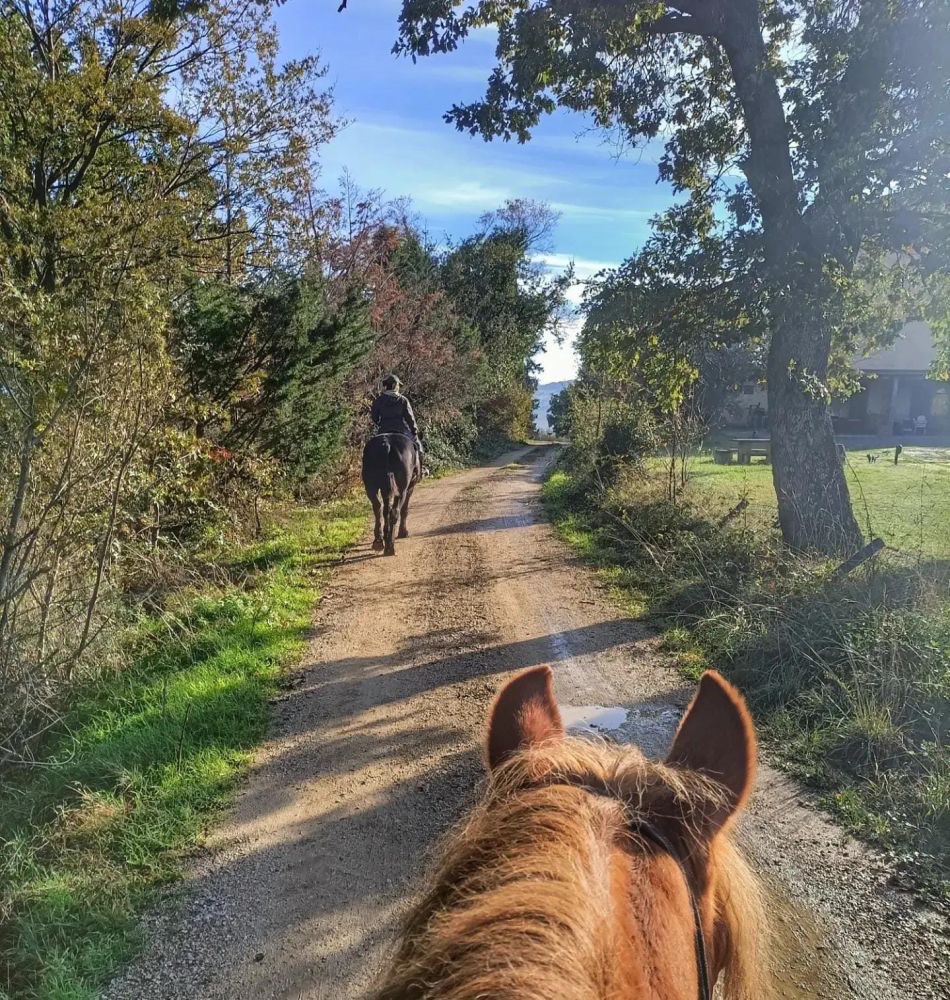 Passeggiata a cavallo lungo un sentiero di campagna, vista dalla sella